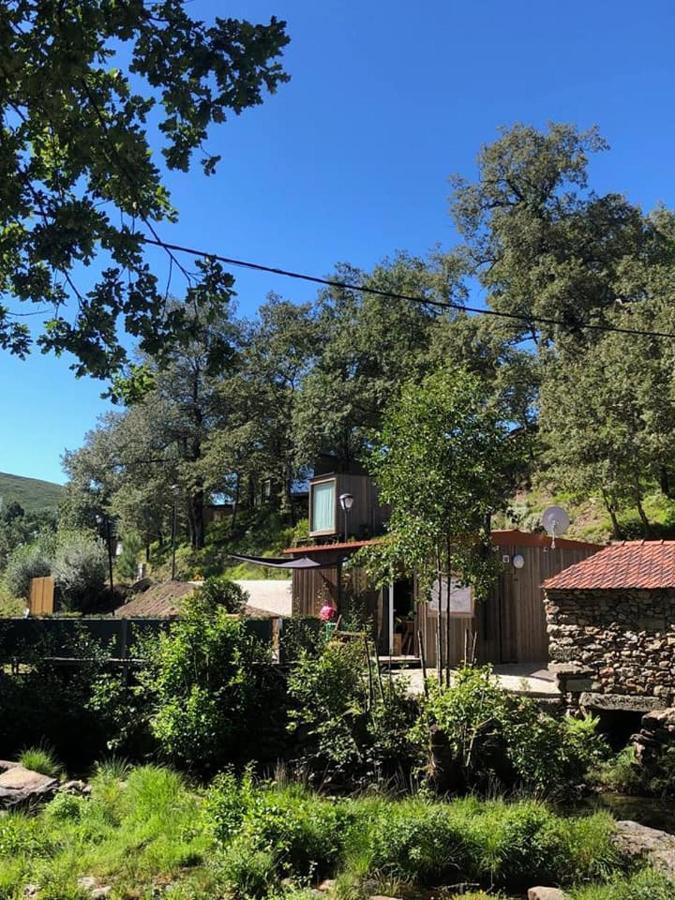 Ninho Da Avo Selvagem Villa Montalegre Kültér fotó