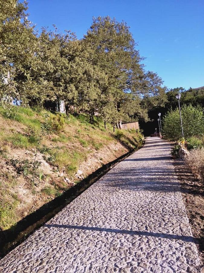 Ninho Da Avo Selvagem Villa Montalegre Kültér fotó