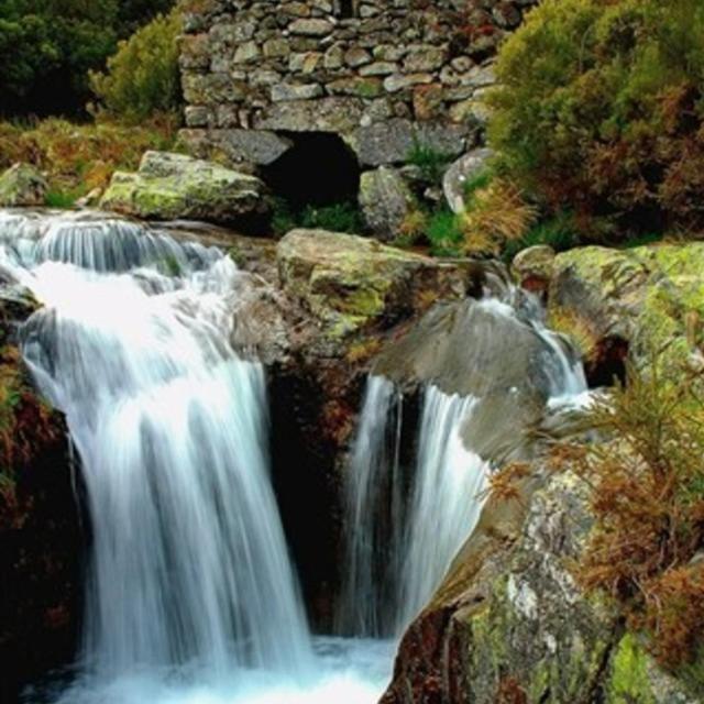 Ninho Da Avo Selvagem Villa Montalegre Kültér fotó
